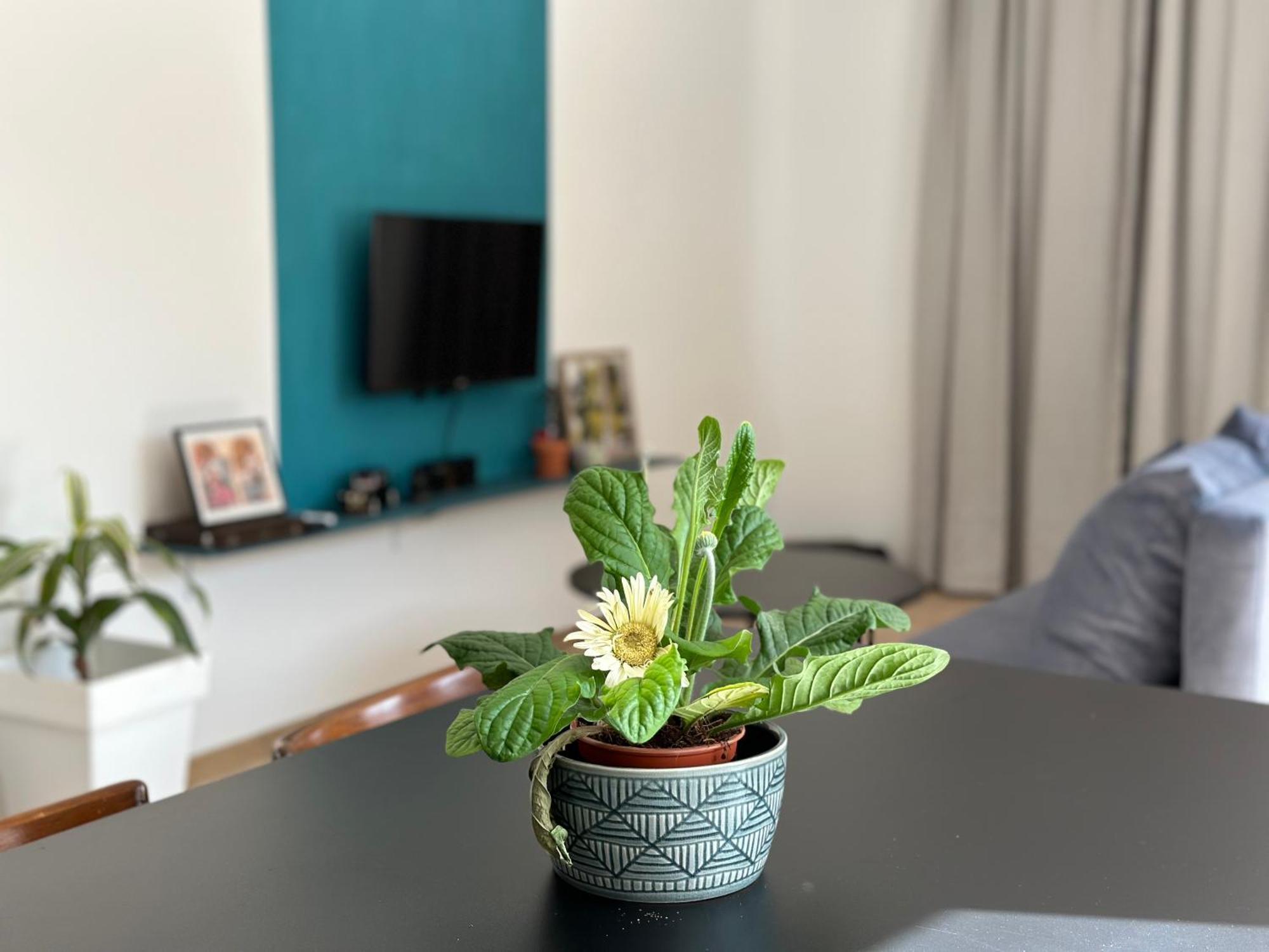 New Garden Apartment Скопье Экстерьер фото